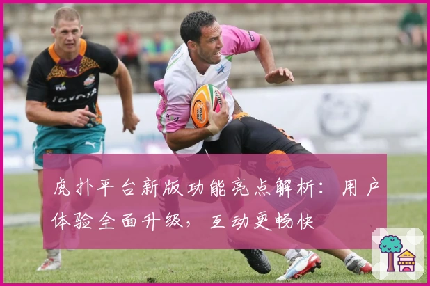 虎扑平台新版功能亮点解析：用户体验全面升级，互动更畅快
