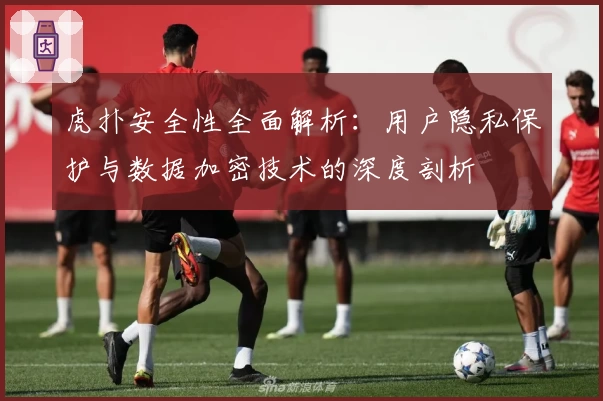 虎扑安全性全面解析：用户隐私保护与数据加密技术的深度剖析
