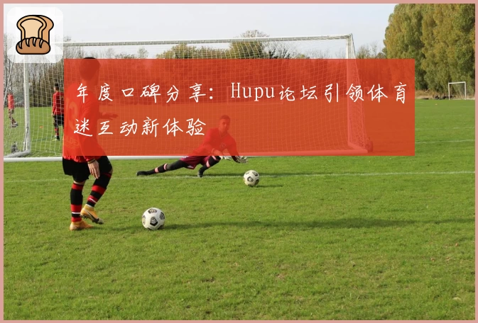 年度口碑分享：Hupu论坛引领体育迷互动新体验