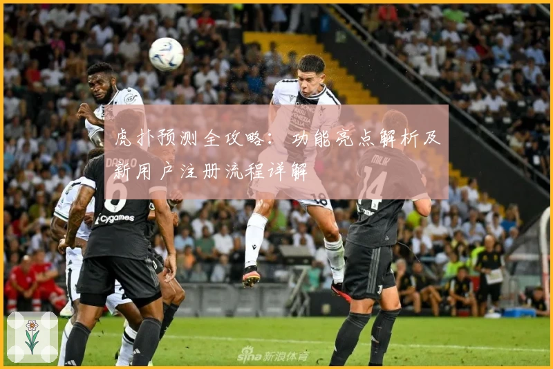 虎扑预测全攻略：功能亮点解析及新用户注册流程详解